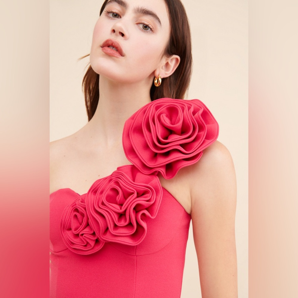 The Wolf Gang - Flores Rose Bustier + Skirt Set NWOT